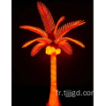 Coconut Palm Light